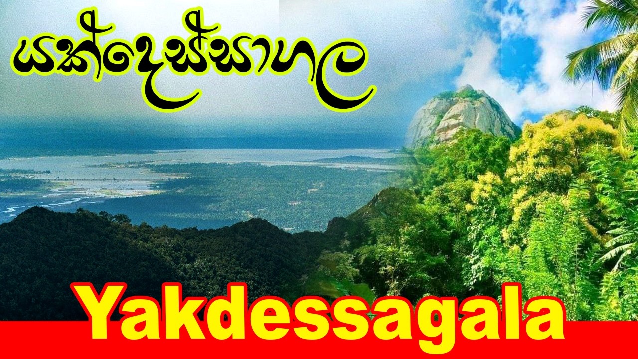 Yakdessagala 🏞️ යක්දෙස්සාගල  🥾 Highest Mountain in Kurunegala 🇱🇰  Jaya Lanka Journey   🕰️   Vlog 66