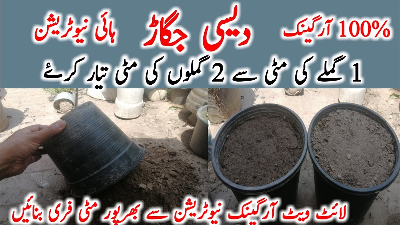 How to make organic nutrients rich soil at home|gamle ki mitti kaise taiyar kare|urdu|hindi|