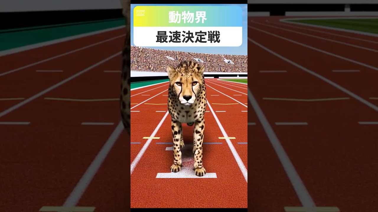 🏁動物最速決定戦🔥地球最速レース🔥チーターvs競走馬vsライオン&hellip;最速は誰だ!?