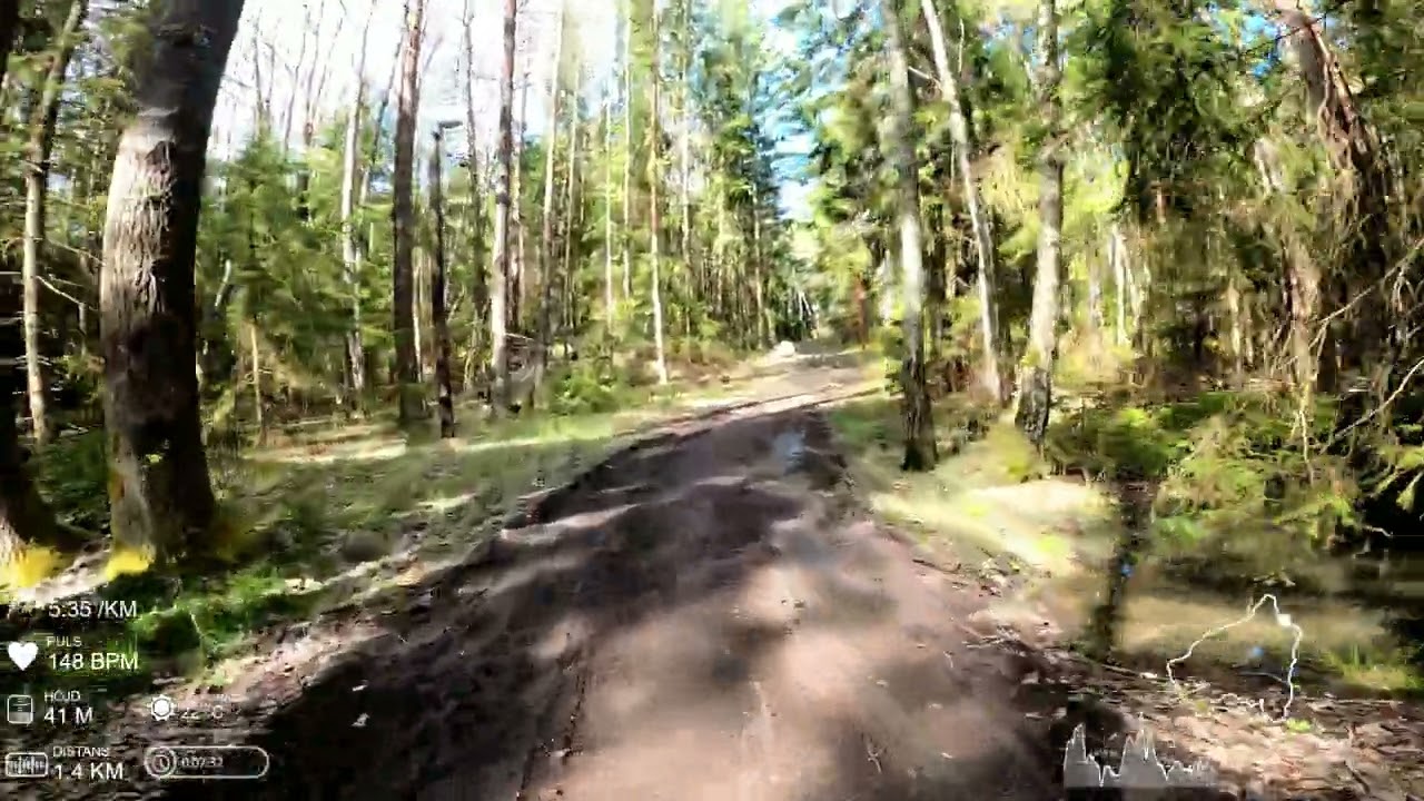 Virtual run #41: (41 min, 7,5 km, 5:33 min/km) Running Kairospåret [No sound]