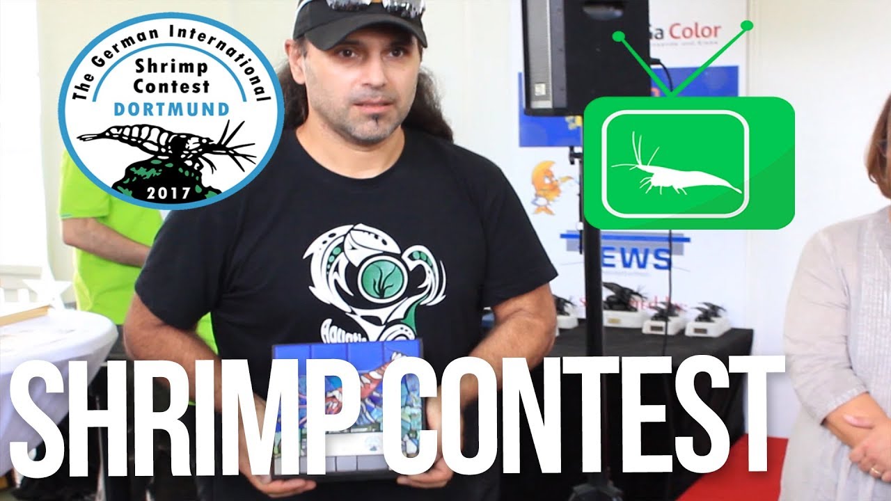 The German International Shrimp Contest | GarnelenTv