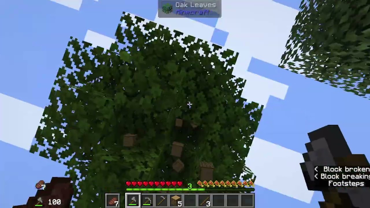 GoobeersVill Ep 1 I build my starter house