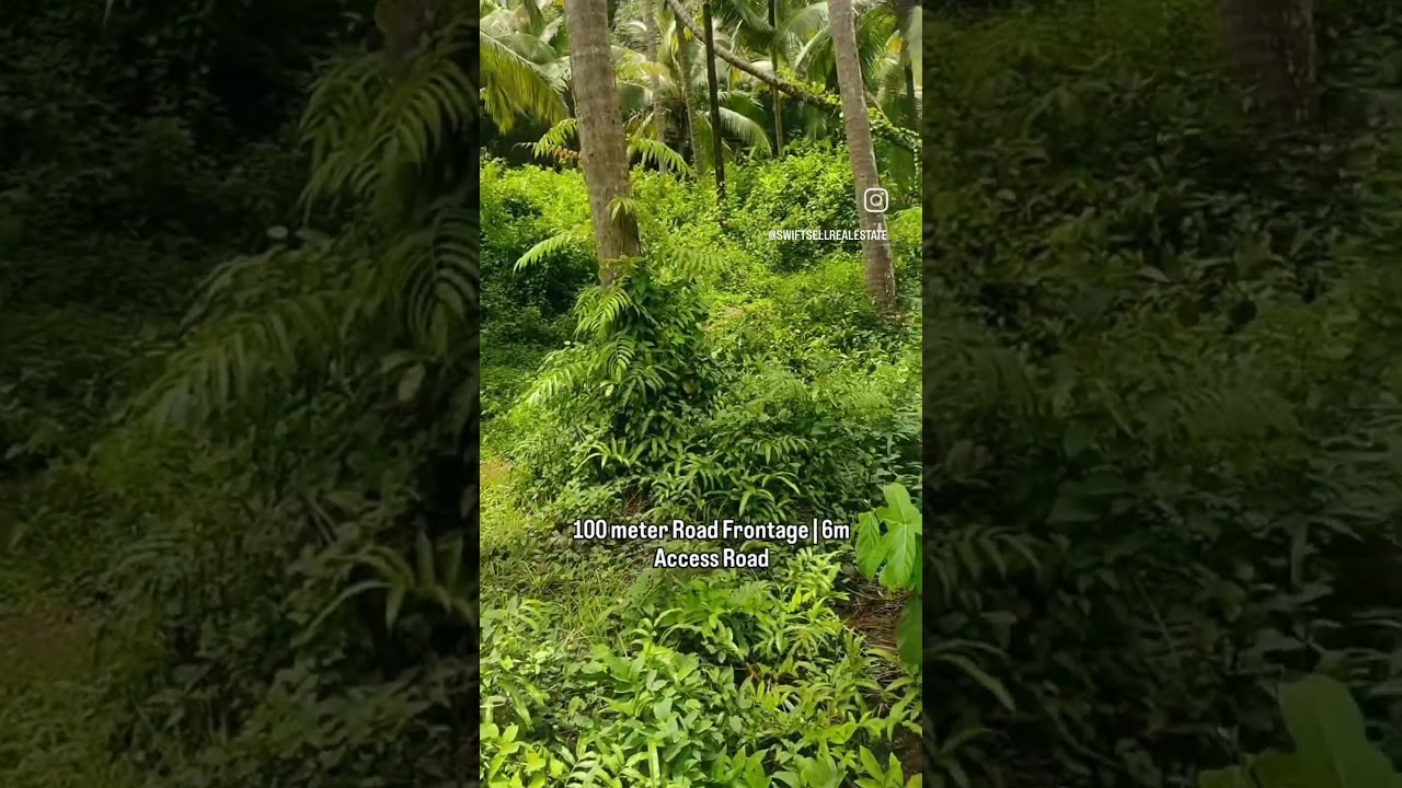 Prime Investment Land in Cola, South Goa