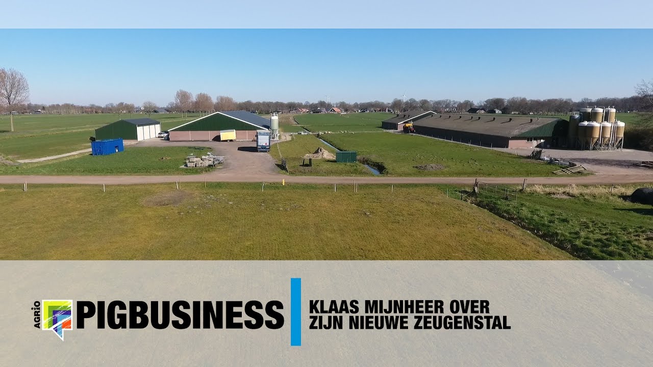 Klaas Mijnheer over zijn nieuwe zeugenstal - www.pigbusiness.nl