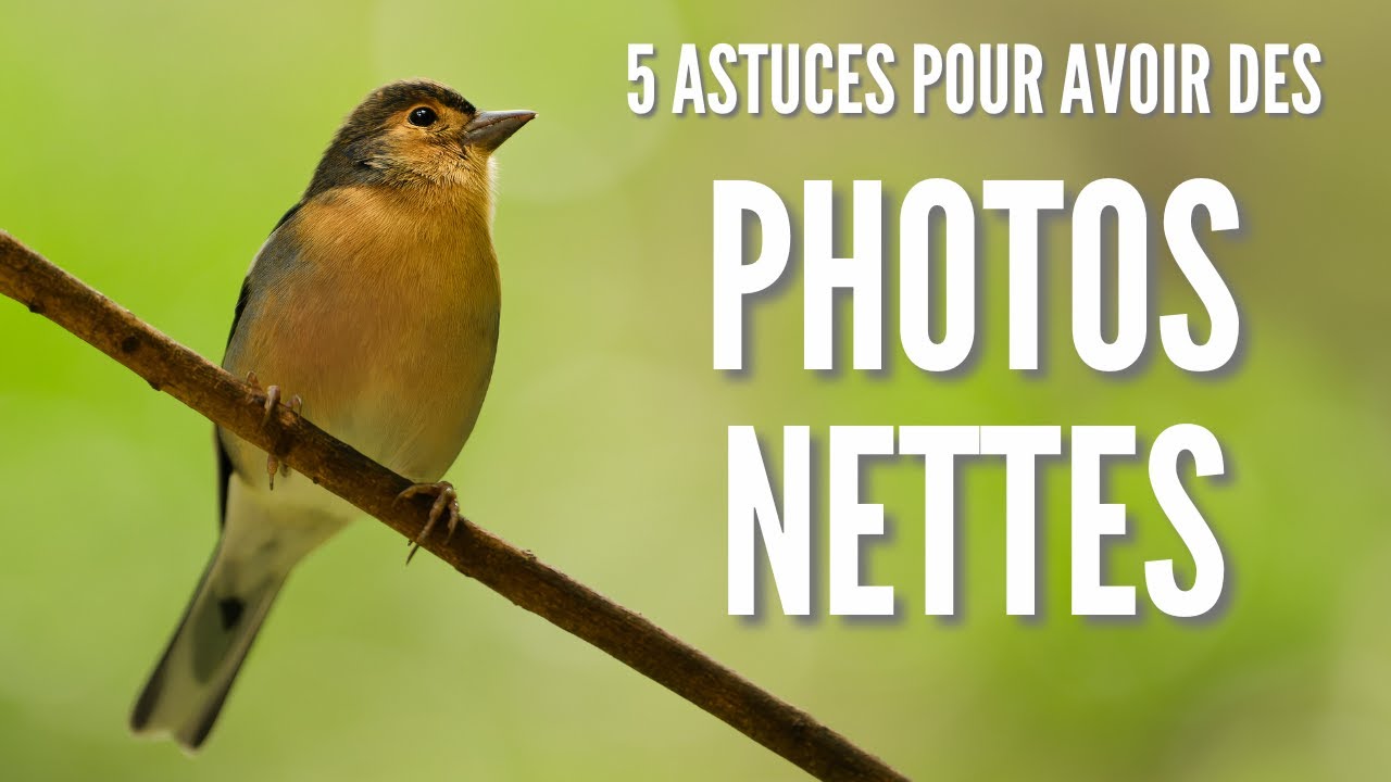 Adieu les photos floues ! Mes 5 ASTUCES pour des photos NETTES 👌📸