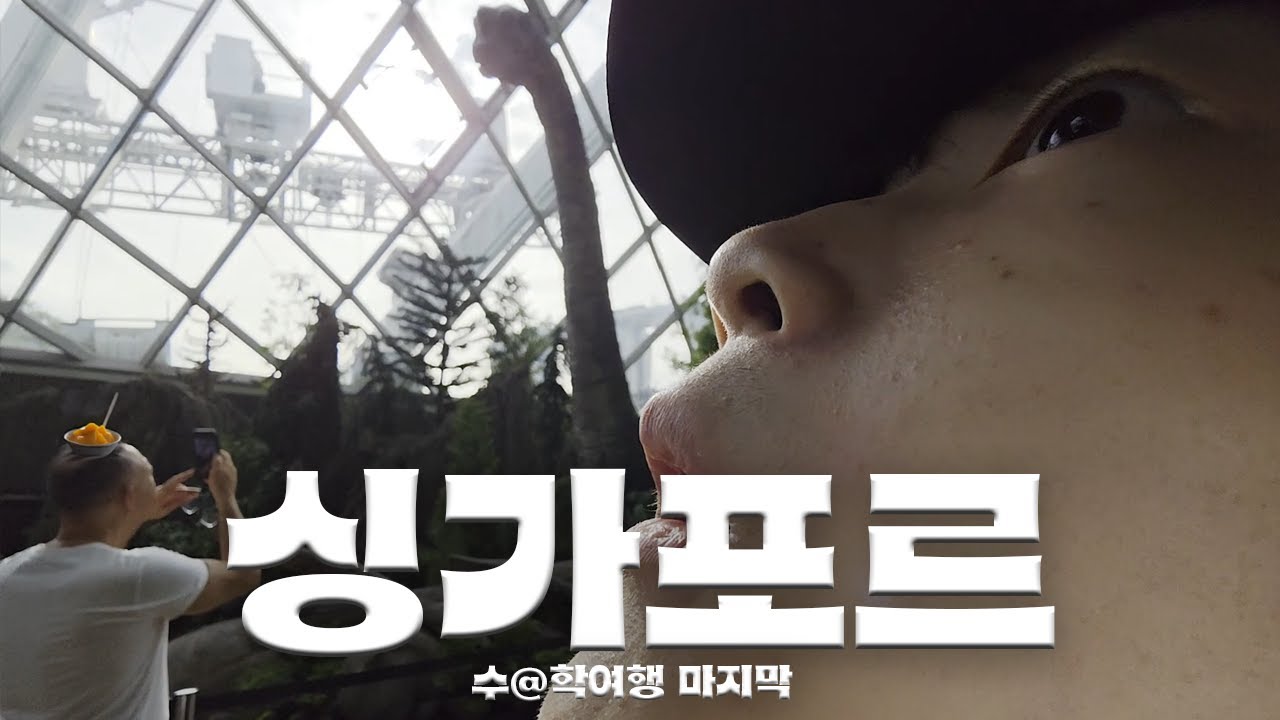 브라키오와 오지 않는 망고빙수를 기다리며