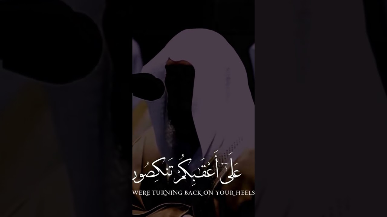 ٢٢ نوفمبر ٢٠٢٥