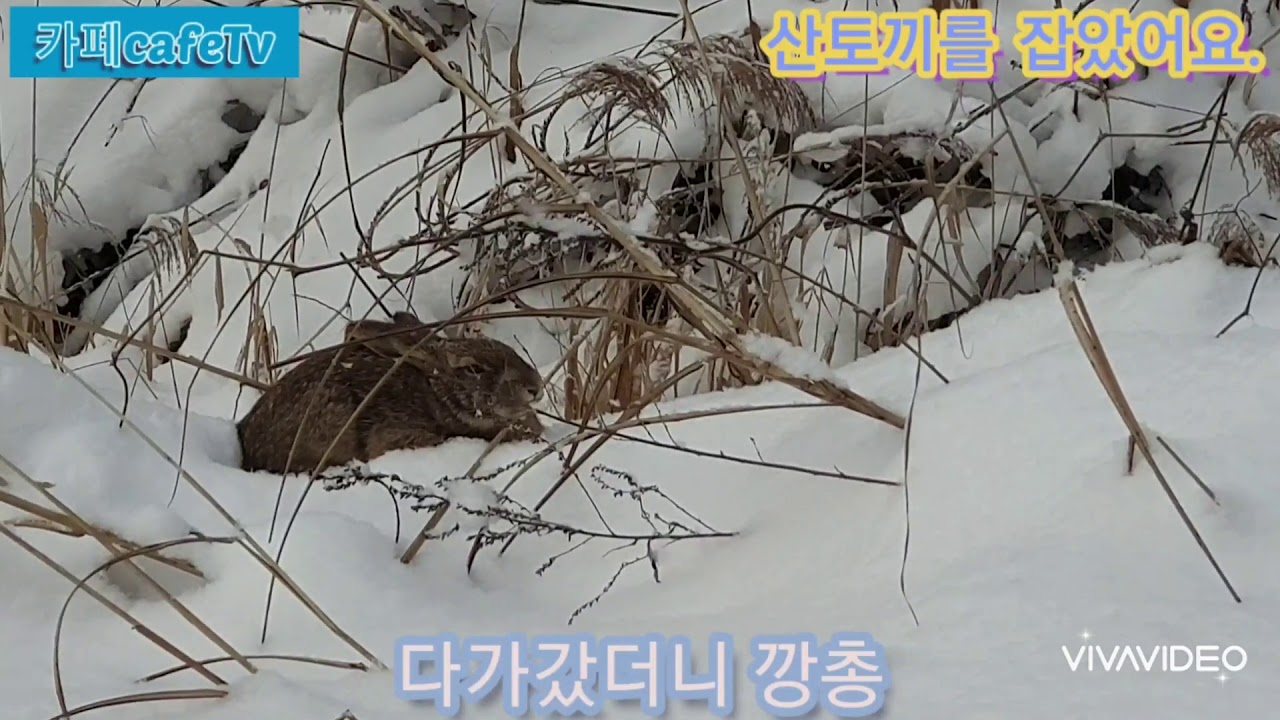 #산토끼를잡았다영상으로#설경산책