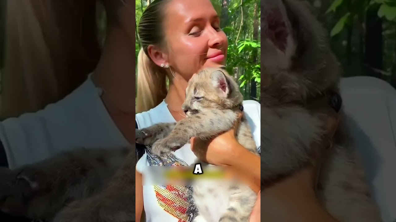 Woman Rescues Freezing Lion Cub and Becomes Its Family 🦁❤️ #shorts #rescue #lion