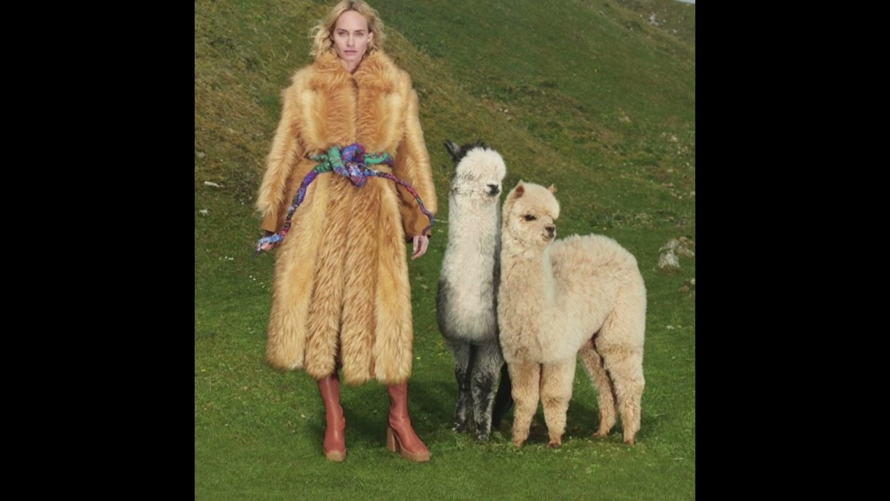 [FREE] JOAQM X DAU TYPE BEAT - 