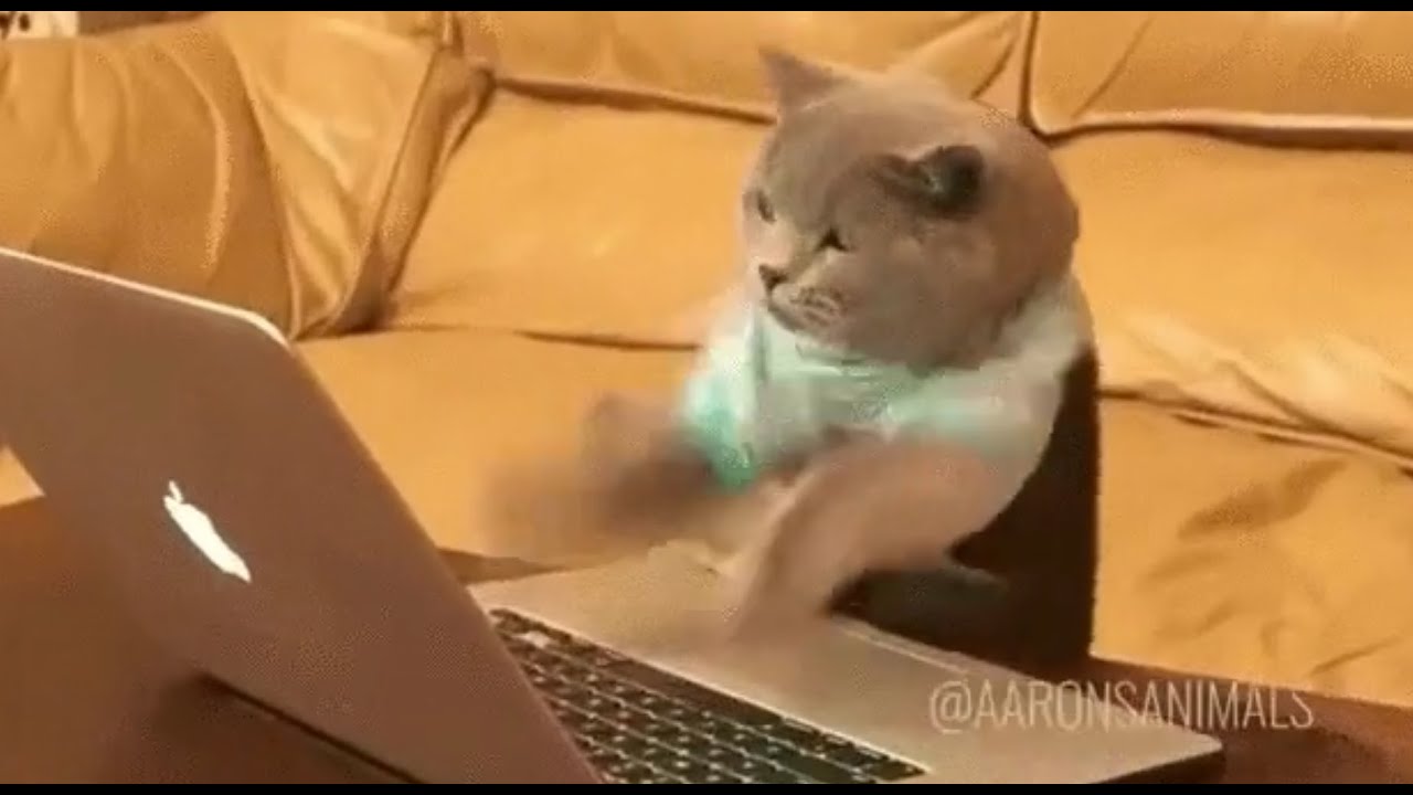 Live Coding, no AI