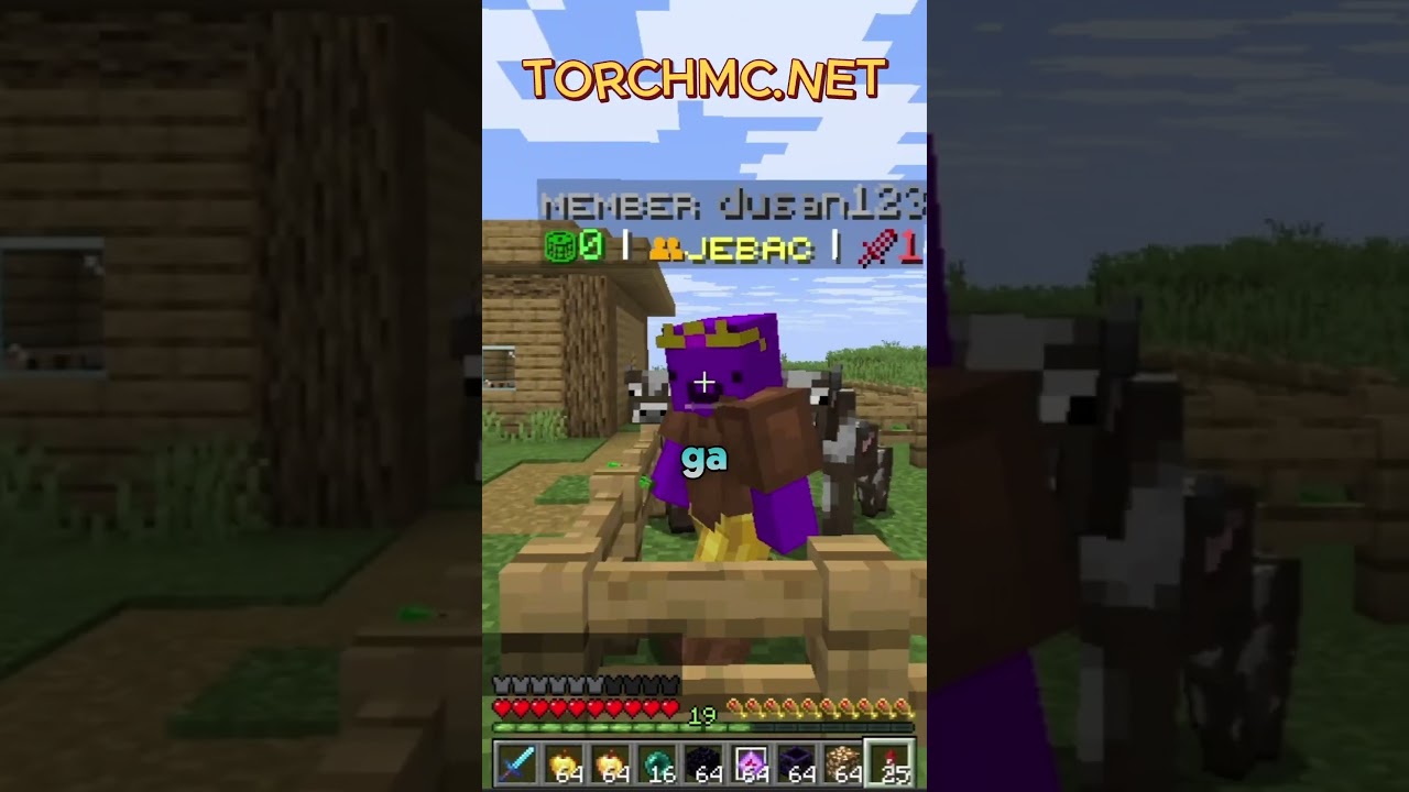 TorchMC SMP IP: torchmc.net 