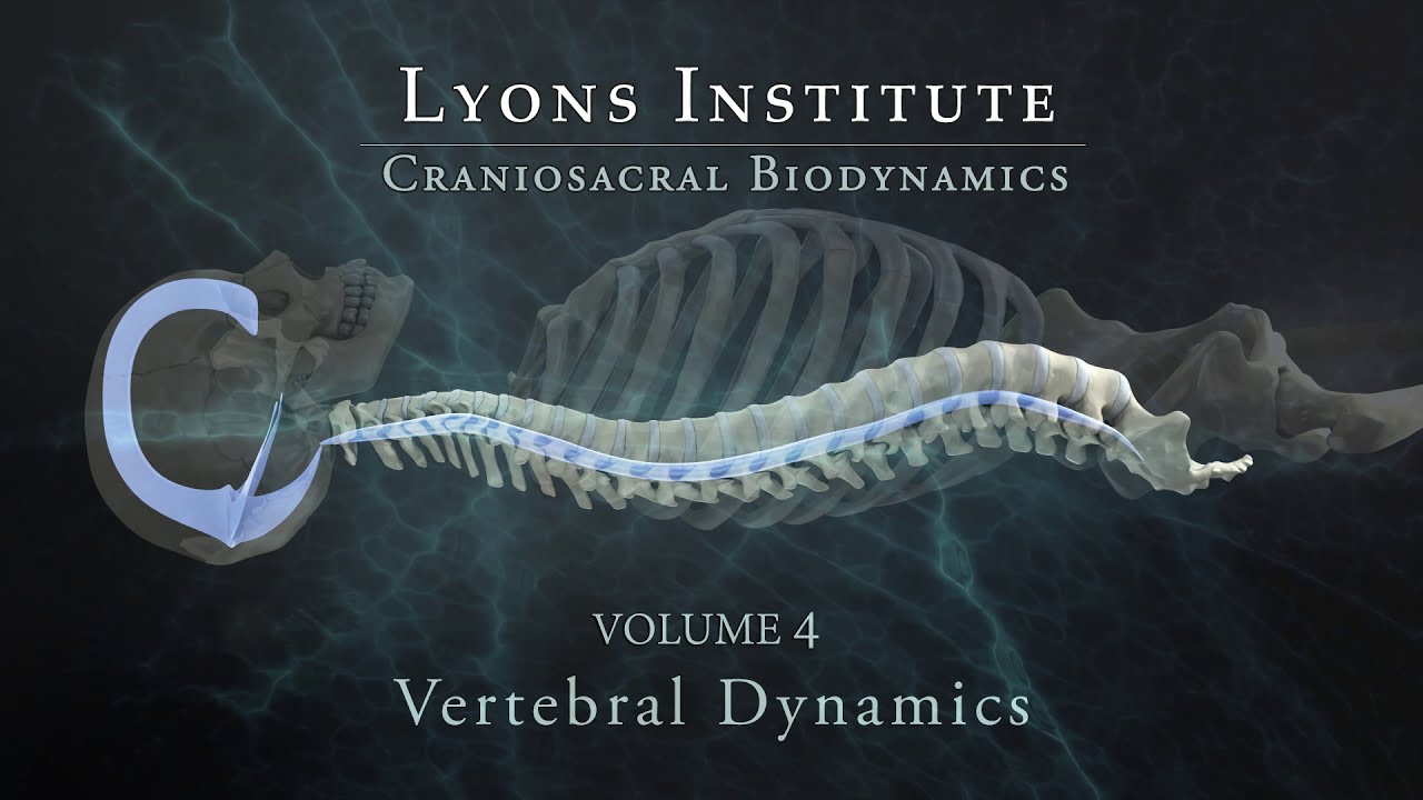 Biodynamic Craniosacral: Volume 4 Vertebral Dynamics Introduction