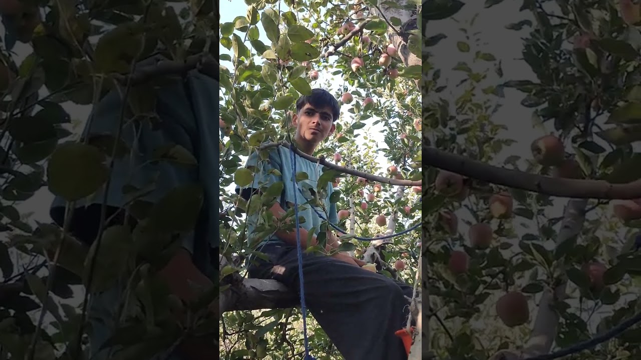 Baykar Mazdoor Ta Malek Kashmiri Funny drama 😄.