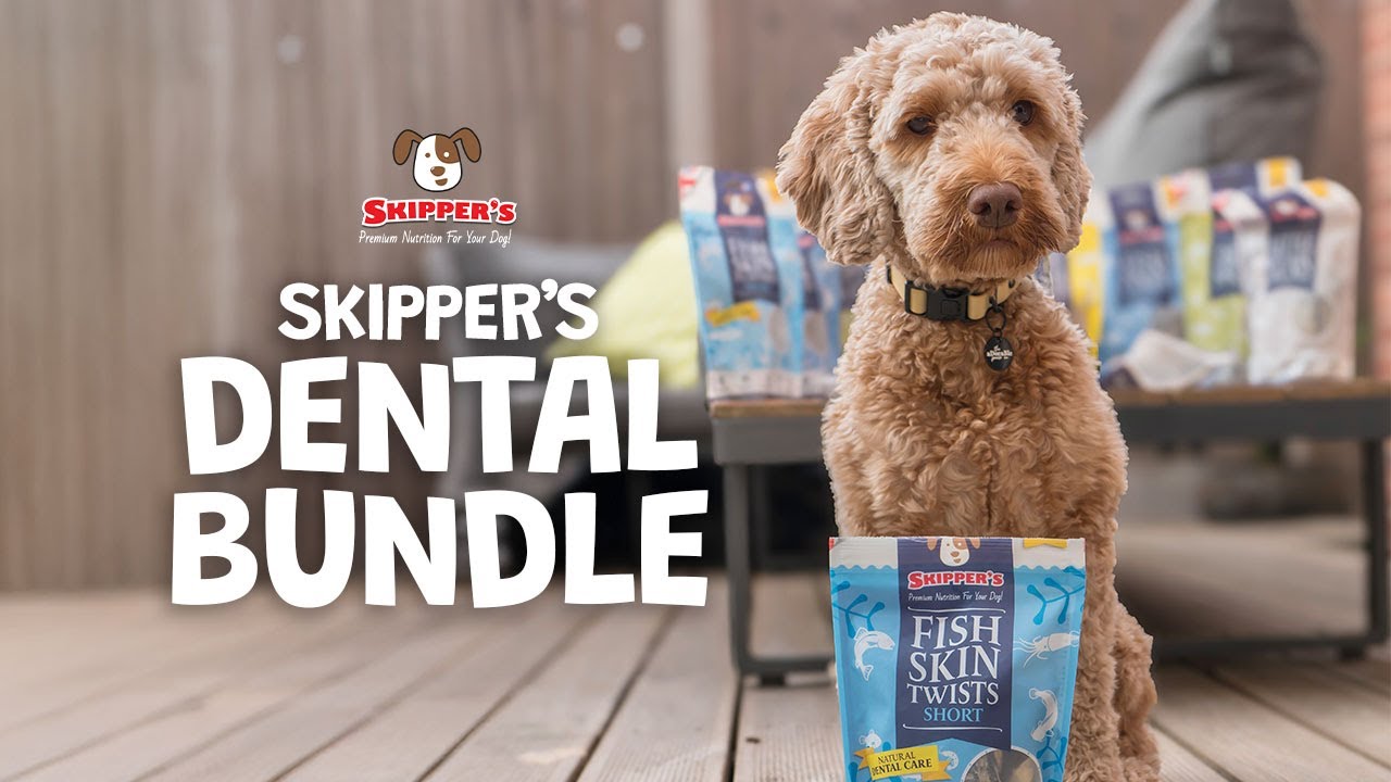 The Secret To Cleaner Dog Teeth Without Brushing!