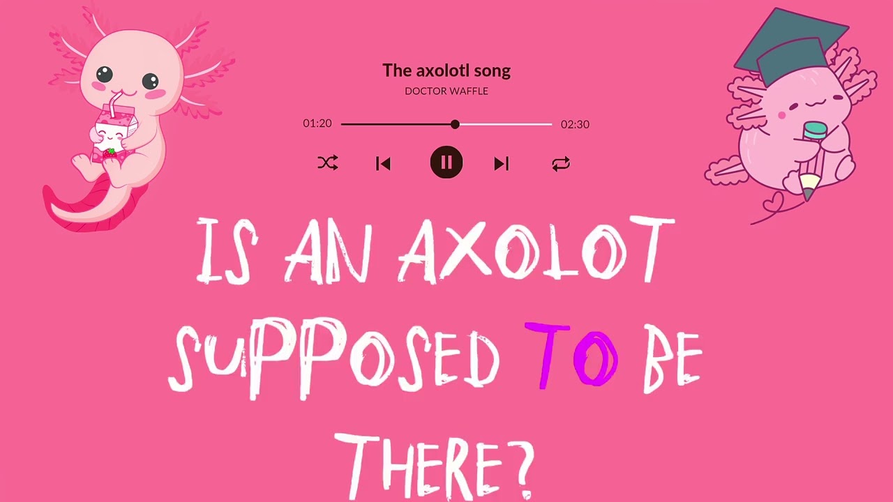 The axolotl song (lyrics)