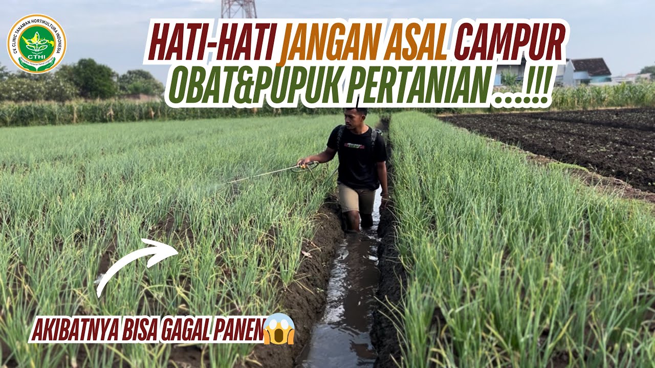 WASPADA JANGAN ASAL CAMPUR OBAT-OBATAN PERTANIAN JIKA TIDAK INGIN BERMASALAH 