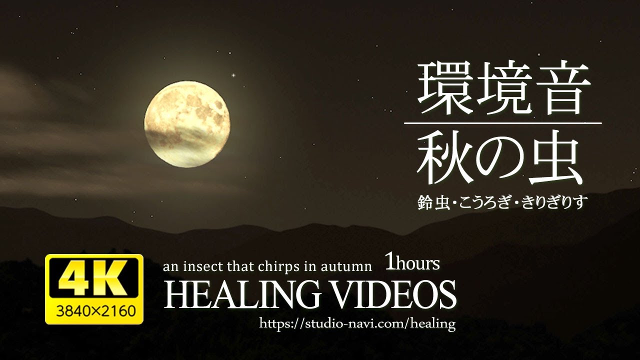 満月の夜・秋の虫の音（鈴虫・こおろぎ）α波で自律神経の乱れを整え、心身の疲労回復・眠れない夜にもどうぞ。