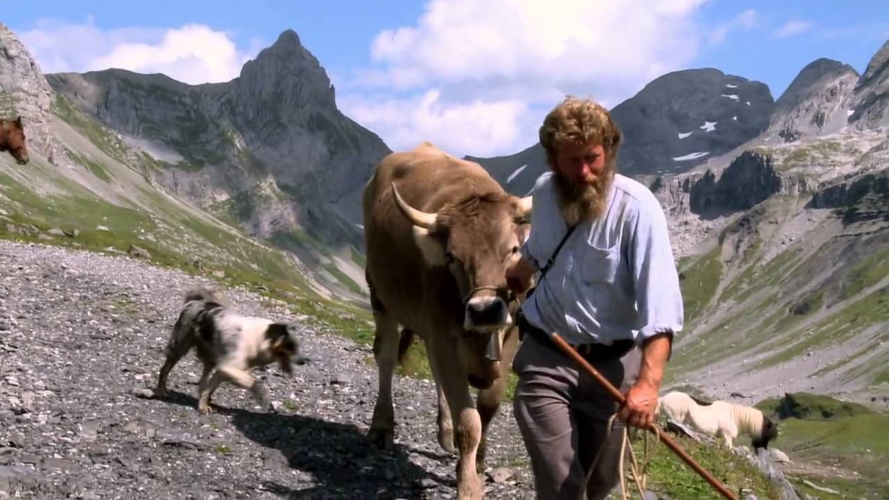 Alpsummer - Ausschnitt aus dem Kino-Dokfilm mit Daniel Bürgler auf der Glattalp