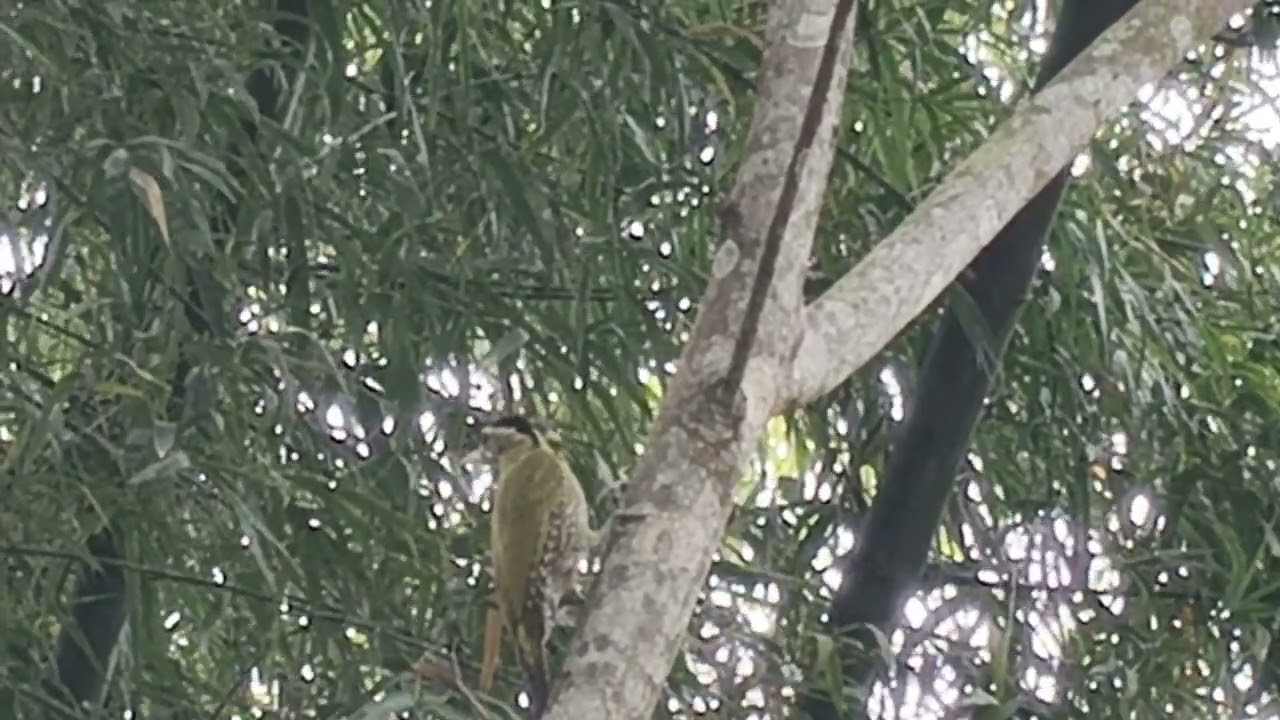 #nature