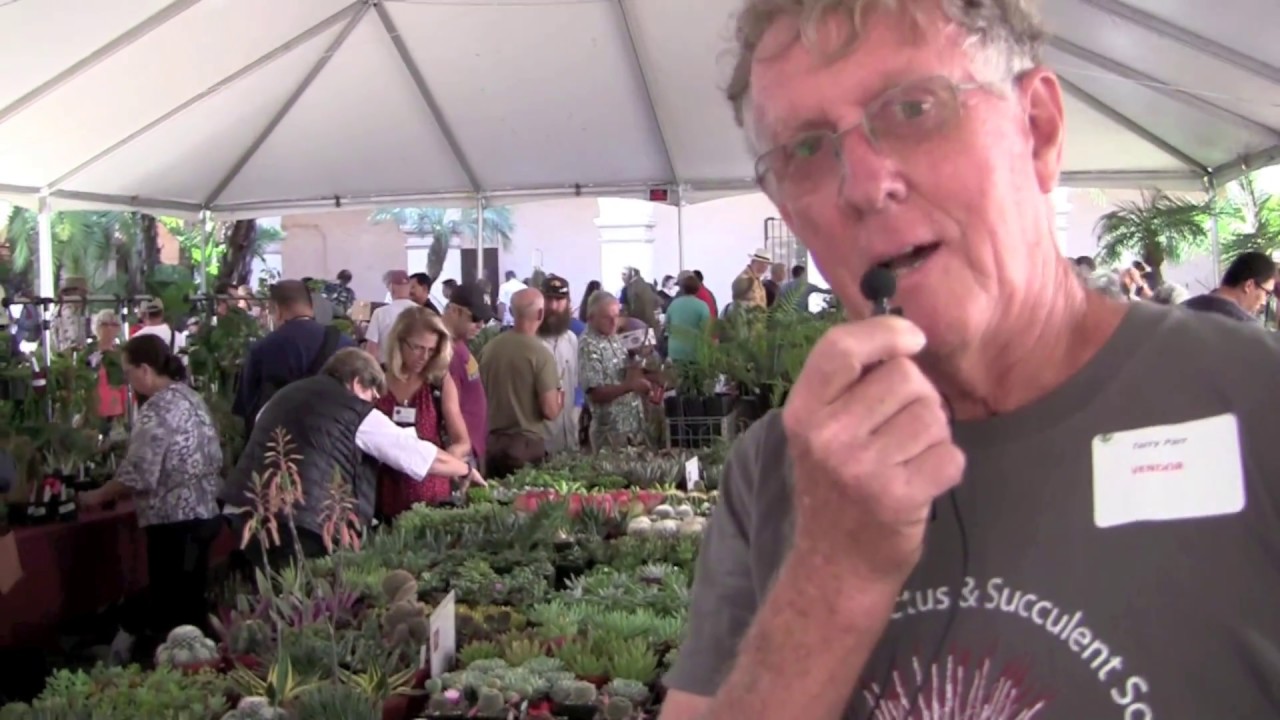 What to Expect at a Cactus & Succulent Society Show & Sale