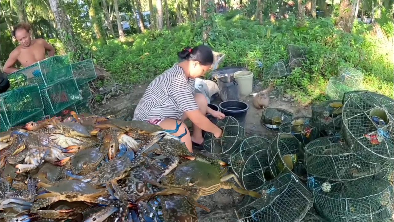 Nakarami parin Ng huli kahit halos dikit dikit ang mga inaryang trap/catch & sell