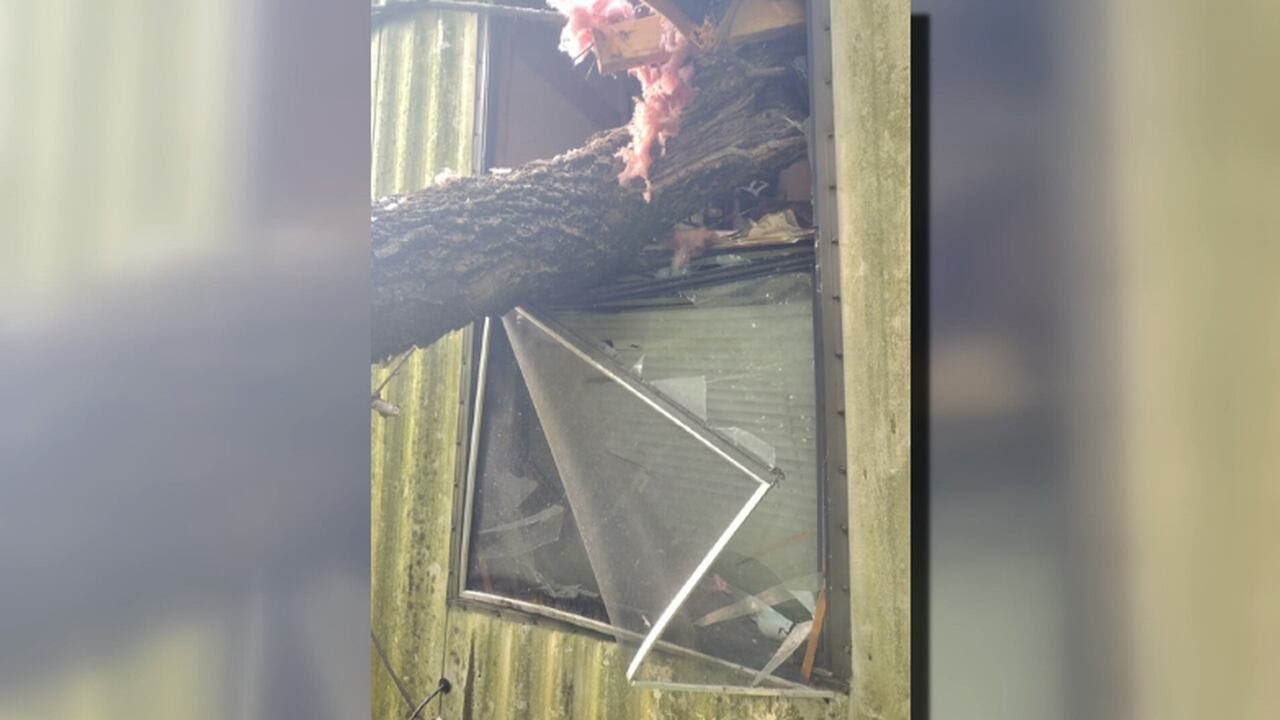 Family braces for Thursday&rsquo;s storms after months of recovery after tree nearly cut home in half