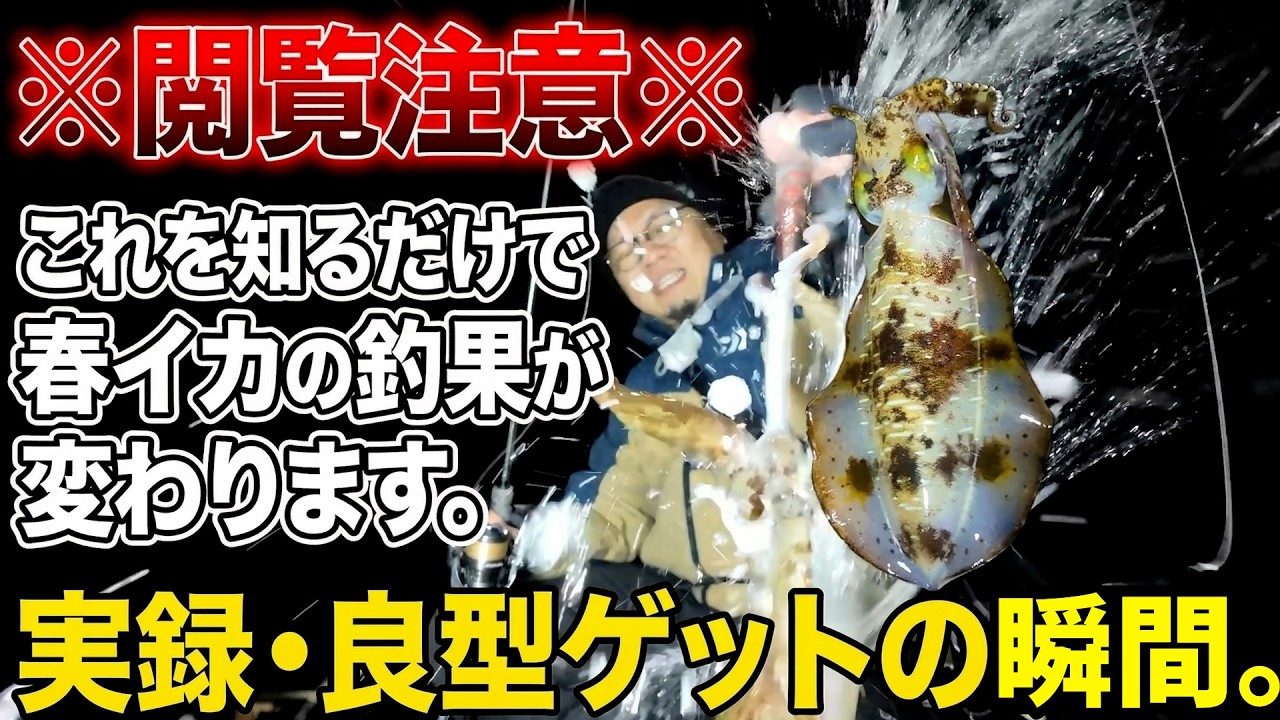 【完全保存版】初春エギングで良型を仕留めるための「違和感の正体」と「しゃくりのリズム」