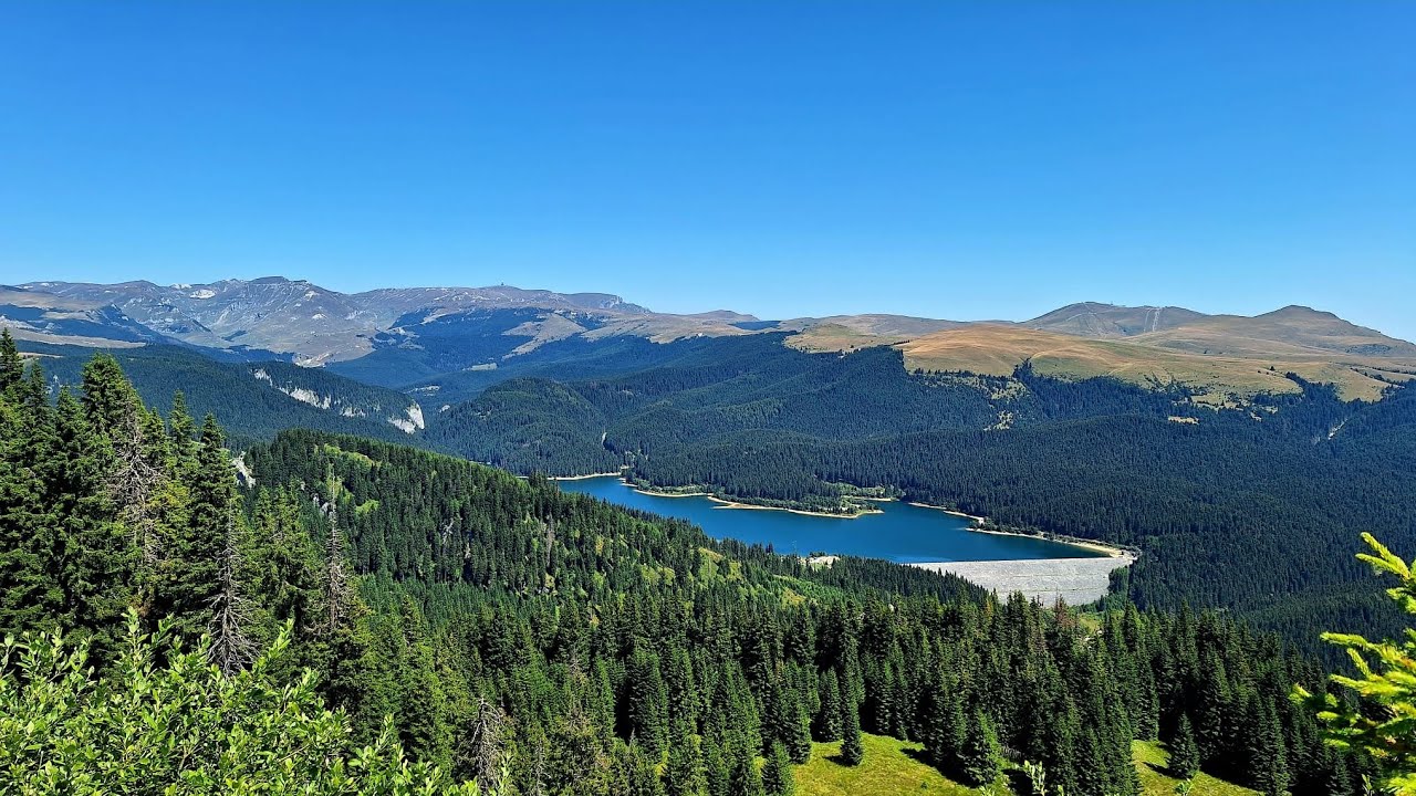 Varful Zanoaga (Podu' cu Florile)
