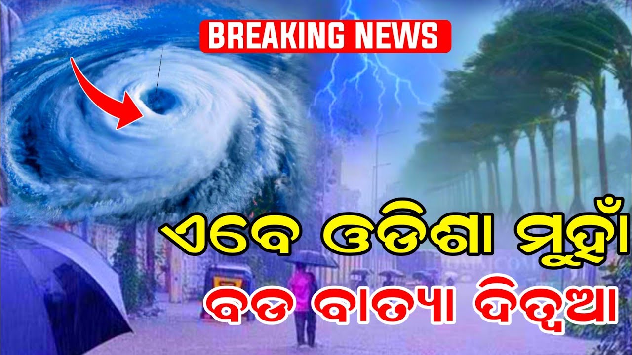 02 December, ajira panipaga khabar,ajira  panipaga suchana, panipaga news,panipaga news today