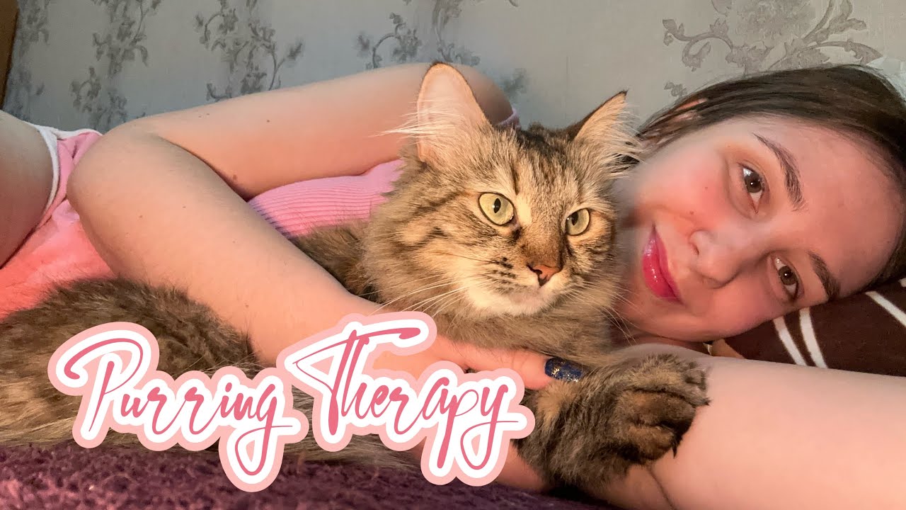 Purring Kitty Therapy 💖 Deep Sleep Music with a Cat Who WON'T Snuggle (Pink Outfit ASMR)