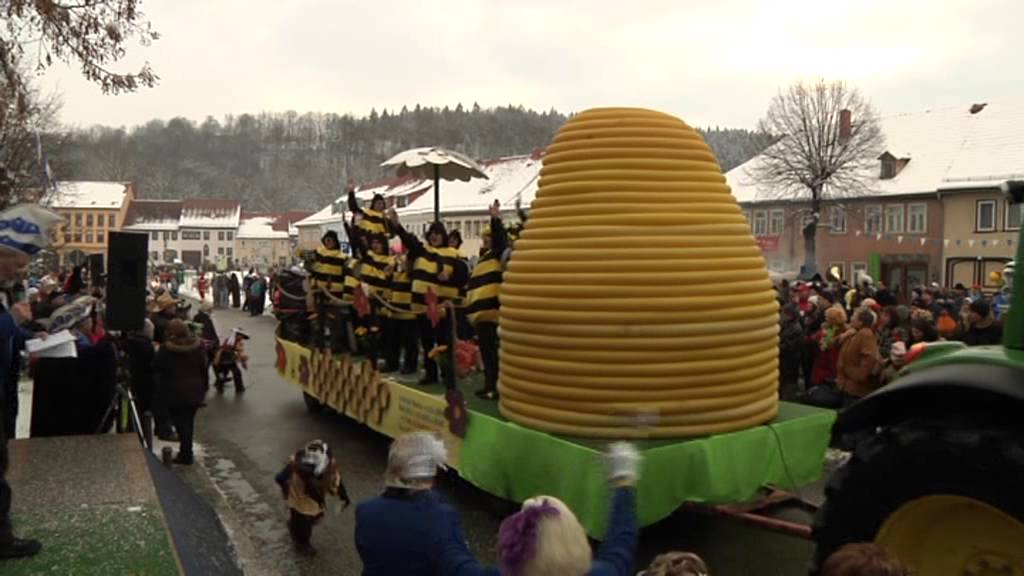 Karnevalsumzug Stadtilm 2013