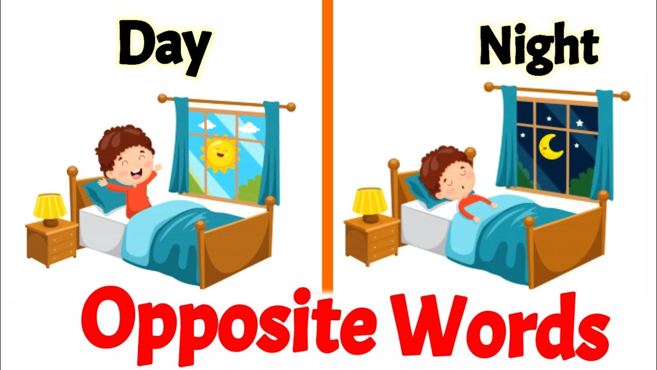 Opposite words | Opposite words in English | opposite words for kids | Antonyms | English opposites
