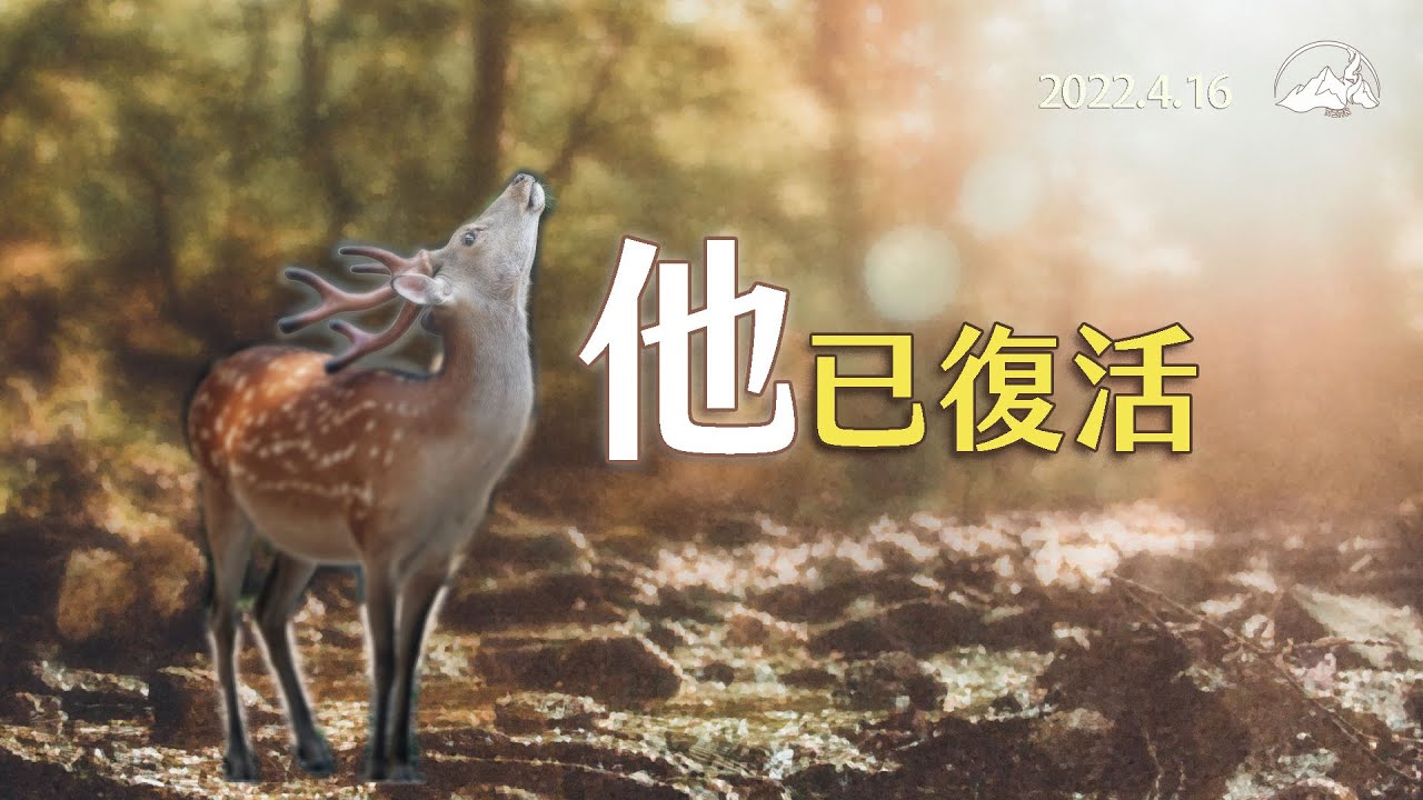 【 他已復活】看見神的榮美音樂專輯｜磐石敬拜團｜2022.4.16