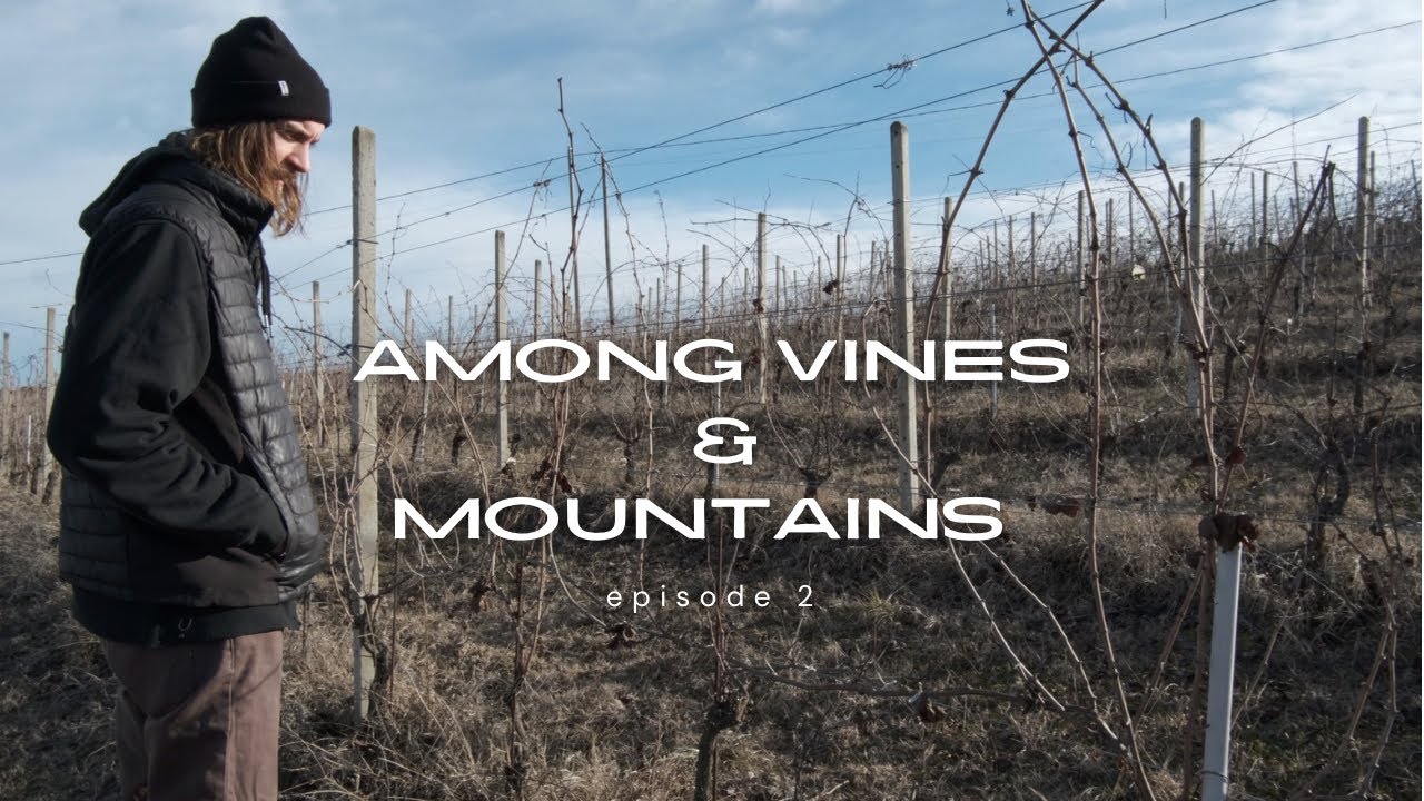 Working on our Old Italian Farmhouse & Visiting a Vineyard for Sale