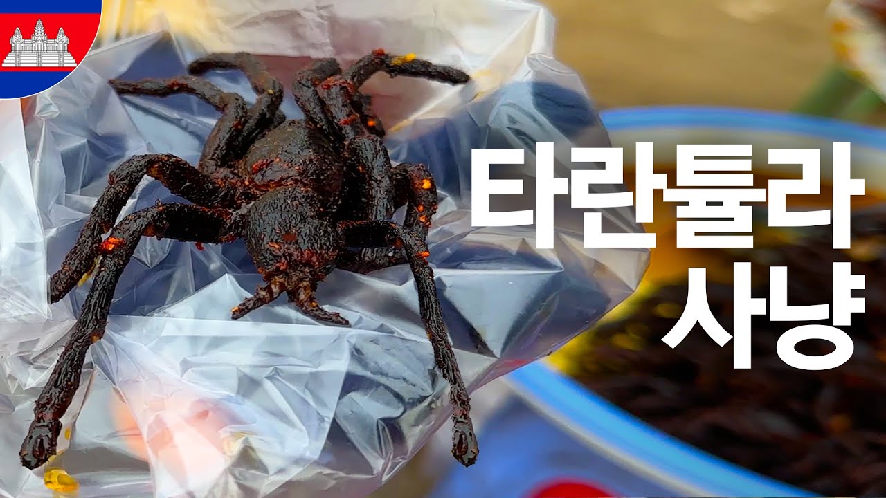 타란튤라를 먹는 마을 - [캄보디아 세계여행 ep.13]