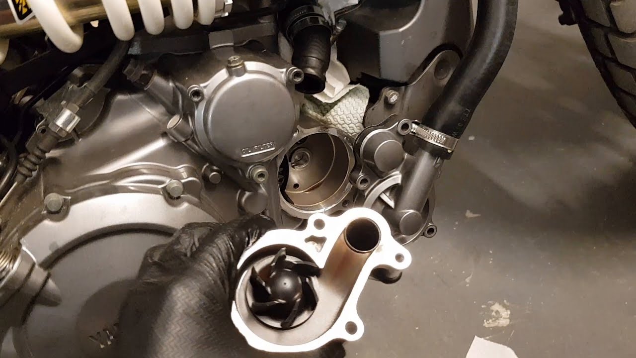 Motorcycle water pump seal overhaul Yamaha XT/MT660 (revisione guarnizione/ tenute pompa acqua moto)