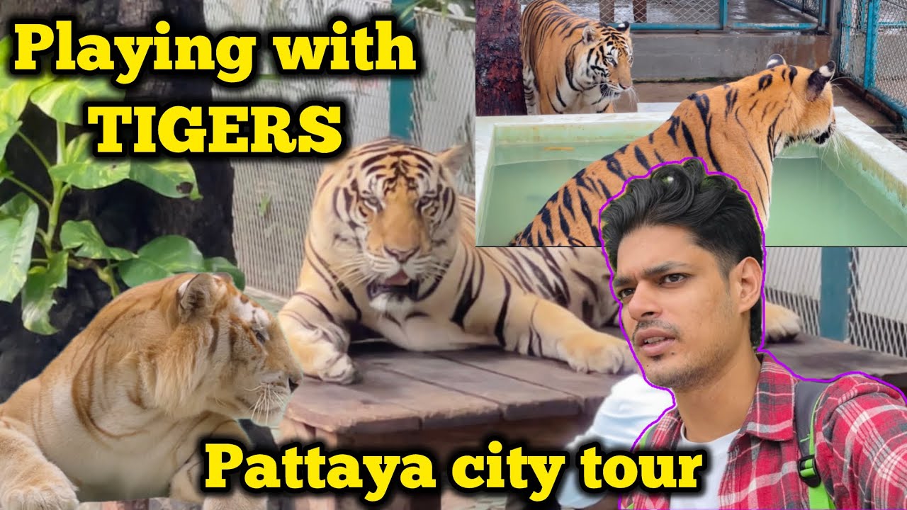 Exploring Pattaya Tiger Park | Pattaya Floating market | Pattaya Night bazzar for shopping