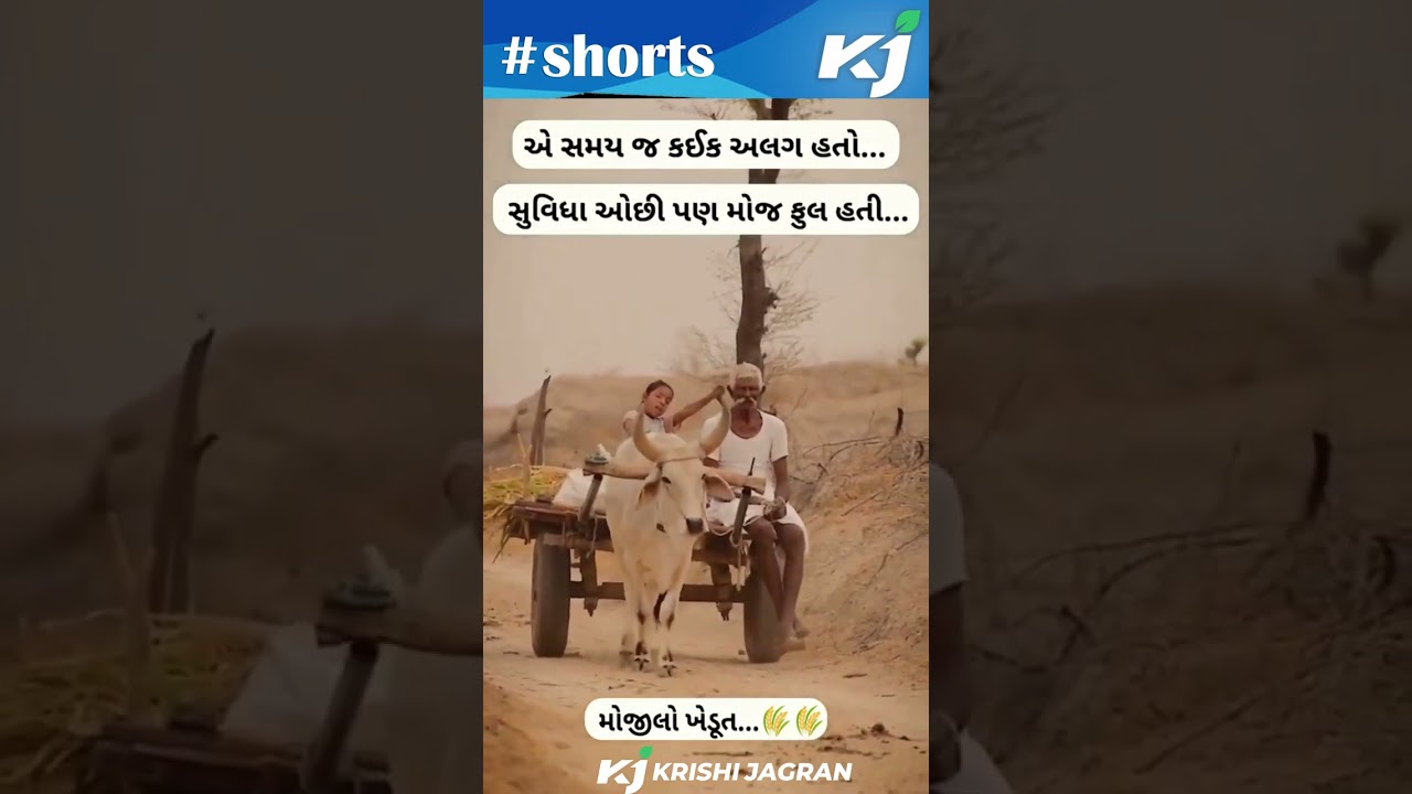 ગામડાનું જીવન એ સમય જ કઈક  અલગ હતો | Farmer | Life | Gujarat | Musical