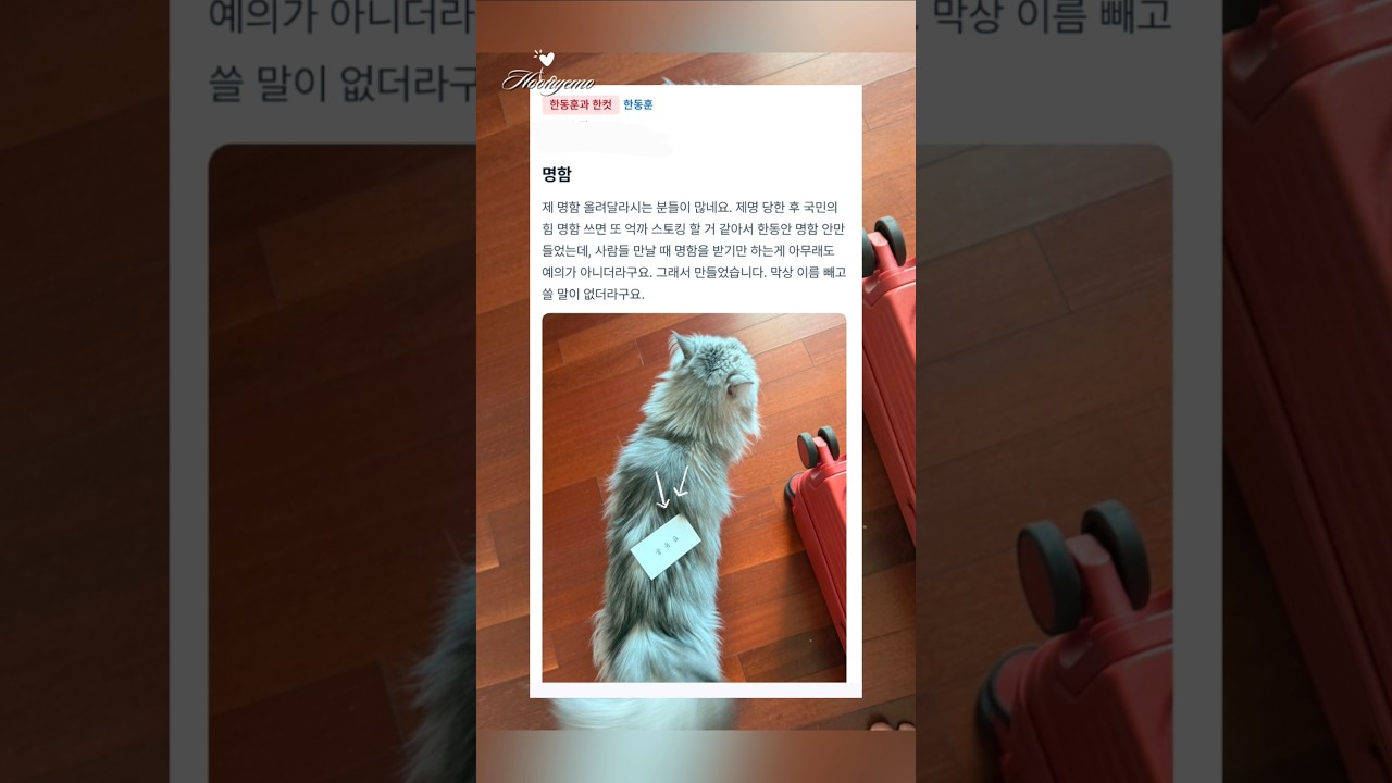 찐 레어템 '한동훈' #shorts #한동훈 #한컷