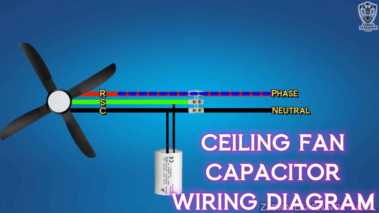 Ceiling Fan Capacitor wiring diagram | Animation | HVAC | Eletcrical