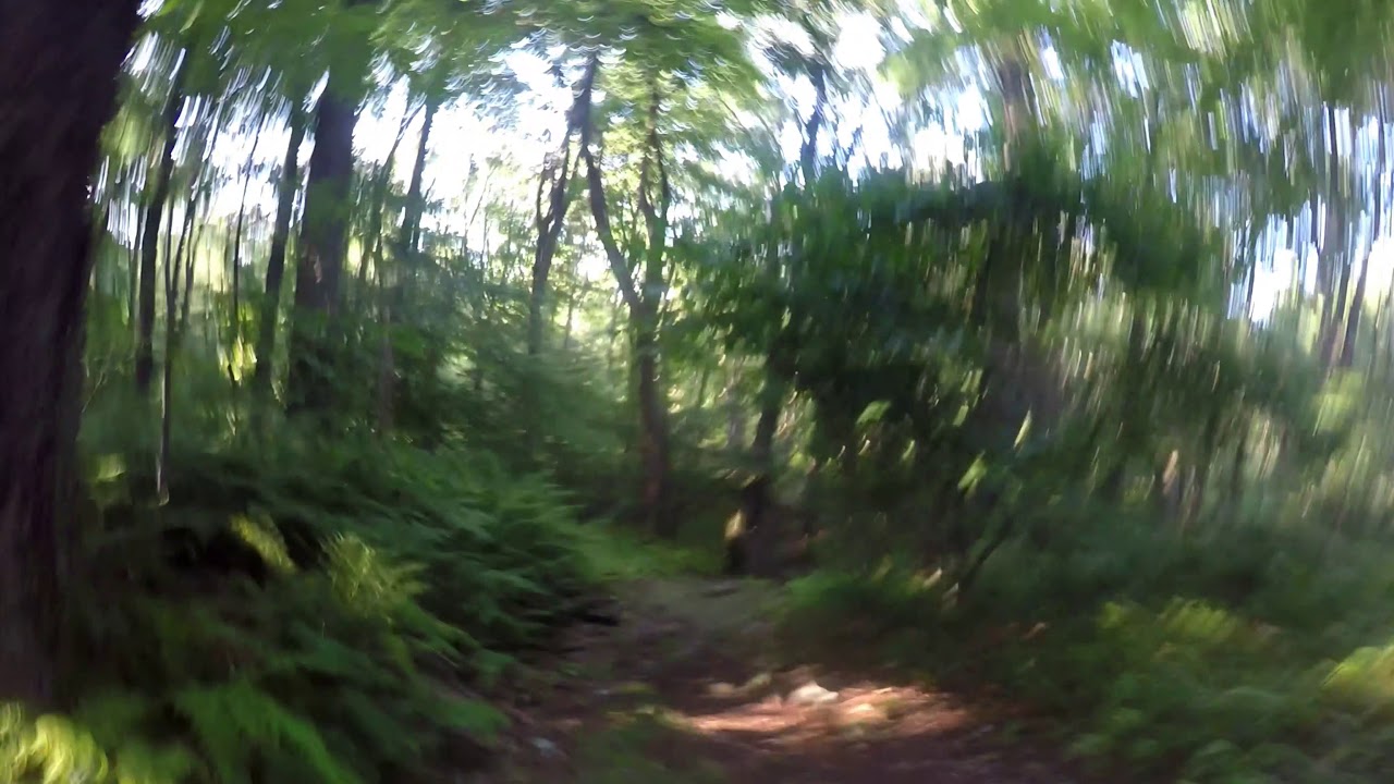 Mile 56-57 Northbound: A Trail Runners Guide to the Laurel Highlands Hiking Trail