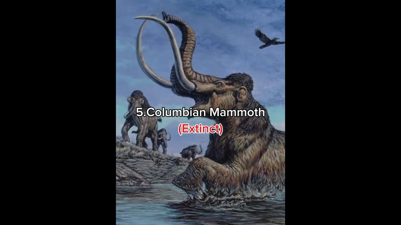 The 5 biggest elephants to ever live! #dinosaur #prehistoric