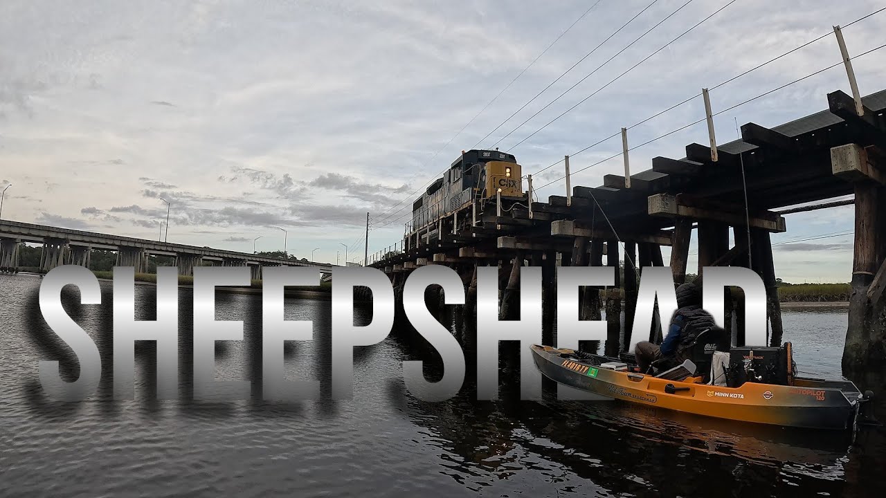 I FOUND A SHEEPSHEAD LOADED BRIDGE!!