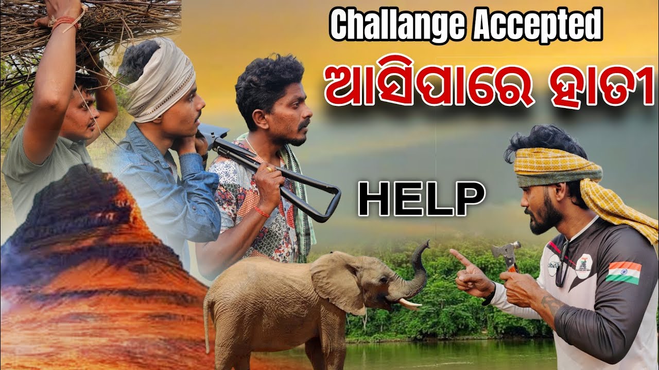 ଆଜି ରାତିରେ ହାତୀ ଆସିପାରେ 🙄#731