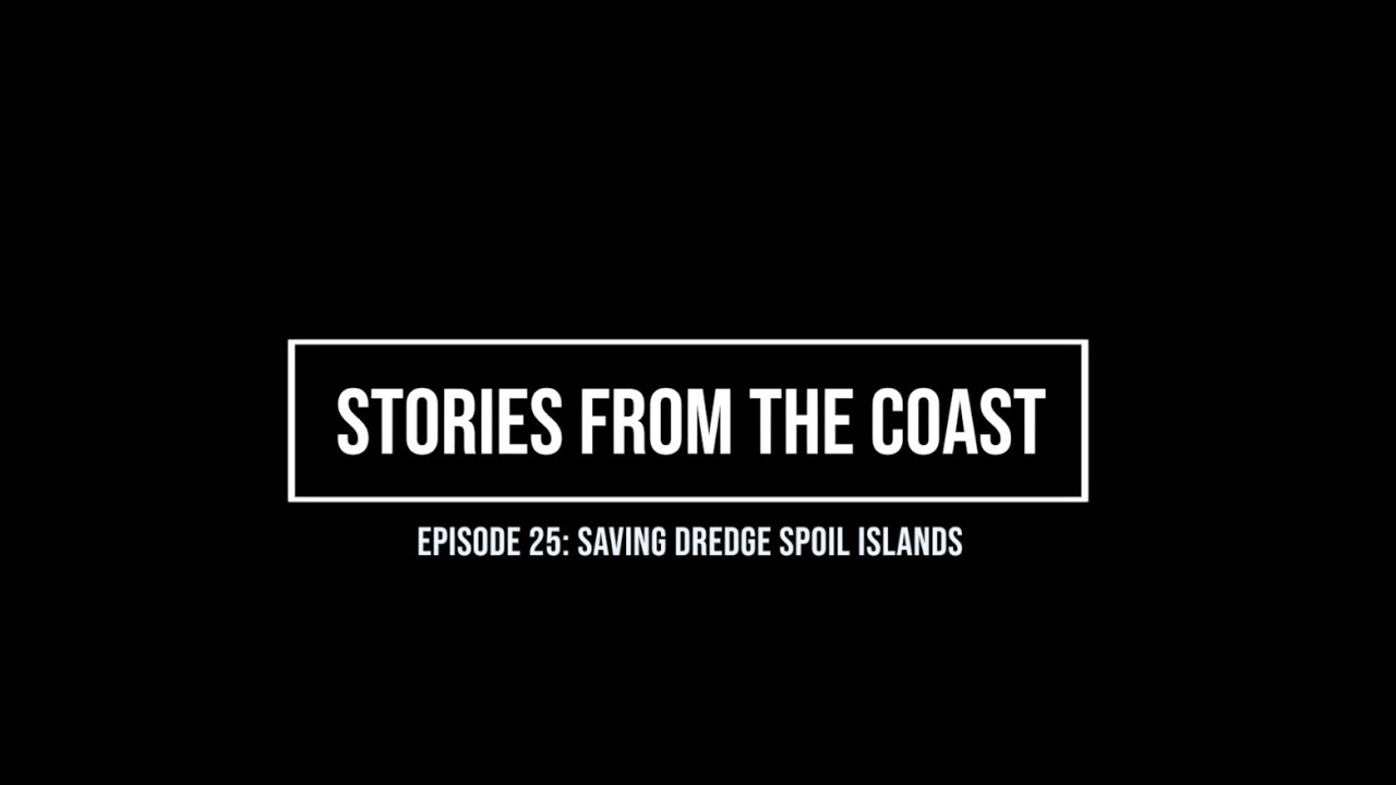 Saving Dredge Spoil Islands