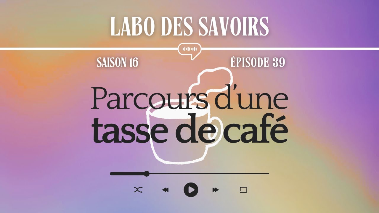 [PODCAST] Parcours d’une tasse de café