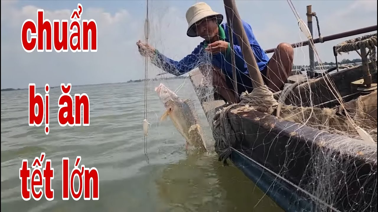 Anh Lộc Chuẩn Bị Ăn Tết Lớn Khi Thăm Lưới Dính Cá Sủ Đực Tiền Triệu # SĂN BẮT ĐỒNG THÁP #