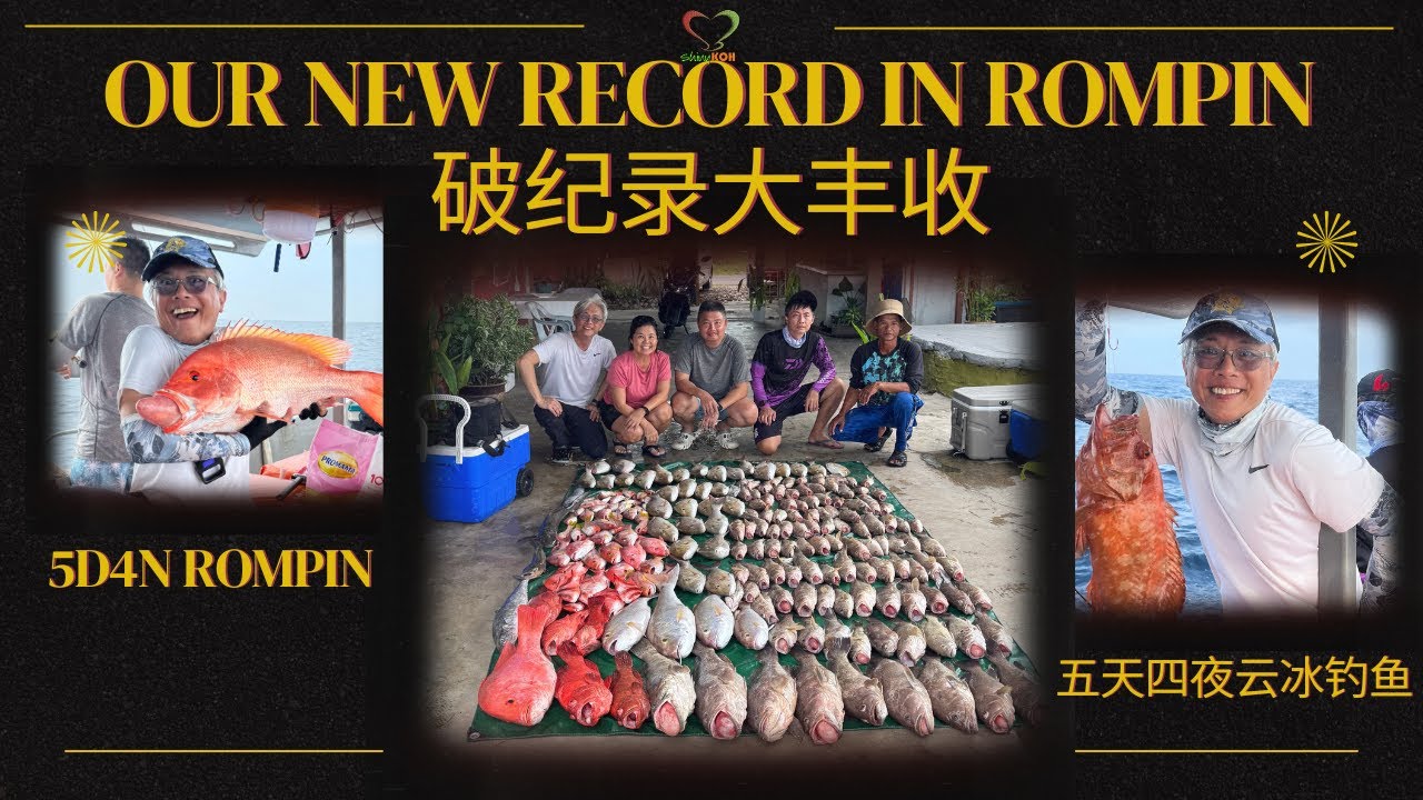 Fishing Madness in Rompin! Record Catch + Target Achieved! 🐟✅ 云冰钓鱼狂潮！破纪录+完美达成目标 | #Shinykoh| 2025_07