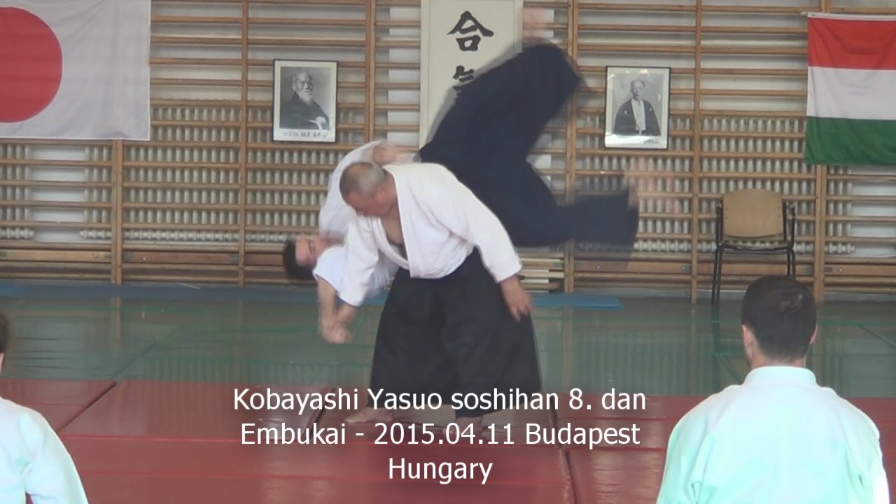 Kobayashi Yasuo soshihan 8. dan Aikido Embukai 2015.04.12. Budapest, Hungary